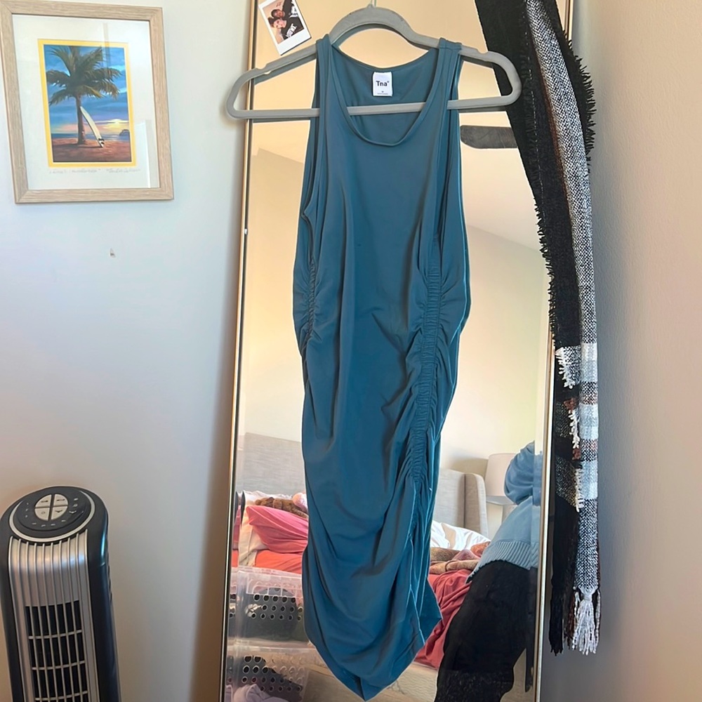 TNA Aritzia dress